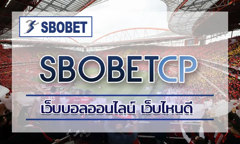 เว็บบอลออนไลน์ เว็บไหนดี วิธีเลือกเว็บที่เหมาะกับคุณ 